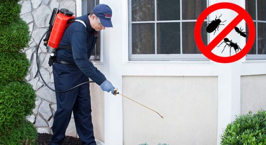 Gevaş Gümüşkurt İlaçlama böcek ilaçlama ve haşere kontrolü — ilaclama-tr.com